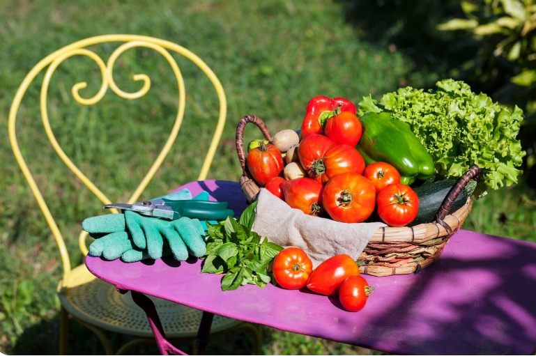 Κηπουρική: Τα 10 λαχανικά που πρέπει να φυτέψετε τον Αύγουστο για πλούσια φθινοπωρινή συγκομιδή