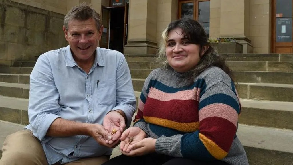 Φοιτήτρια ανακάλυψε χρυσό αντικείμενο του μεσαίωνα στην πρώτη ανασκαφή που συμμετείχε. Φωτογραφία: Newcastle Antiquities Scheme