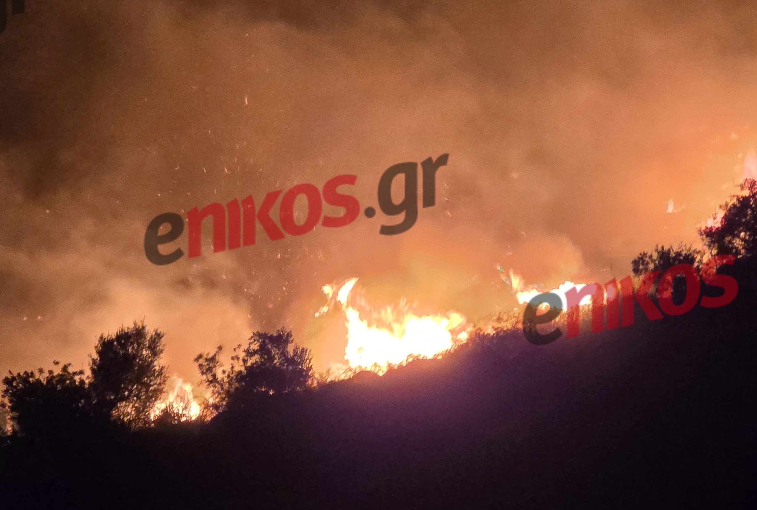 Φωτιά Κεφαλονιά