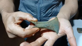 Ένας κωνικού σχήματος πέλεκυς, ο οποίος μάλλον είναι εύρημα της Εποχής του Χαλκού, ανακαλύφθηκε από έναν κάτοικο στο χωριό Παάου, στην περιοχή Αράνιο στην επαρχία Μπάντζαρ. Φωτογραφία: MADA FOR RADAR BANJARMASIN