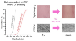 Φωτογραφία: ACS Applied Optical Materials