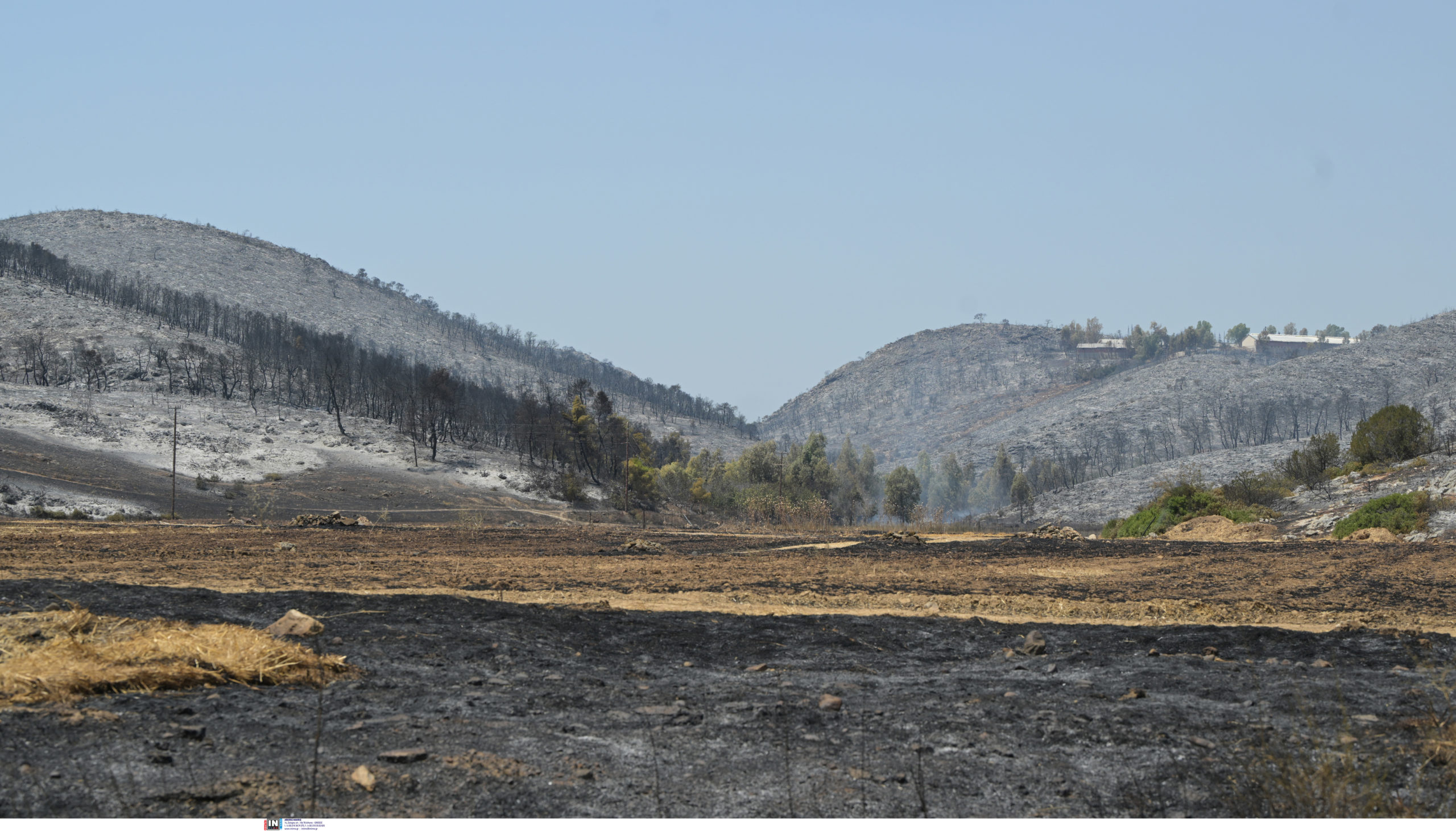Εύβοια: Προσήχθησαν 8 ανήλικοι με τους γονείς τους για εμπρησμούς