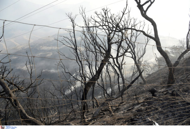 Φωτιά Πάτρα