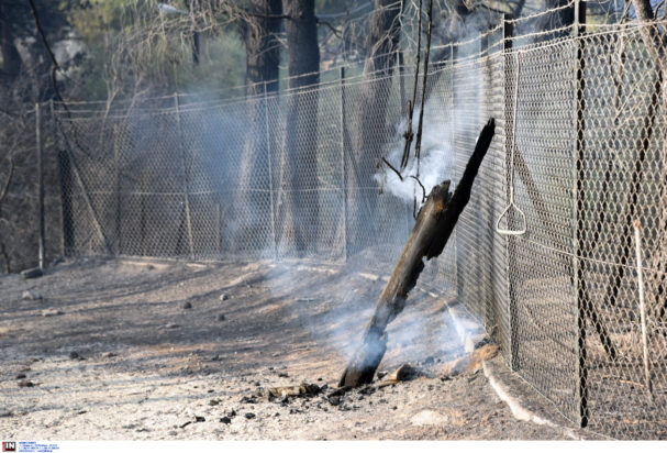 Φωτιά Πάτρα