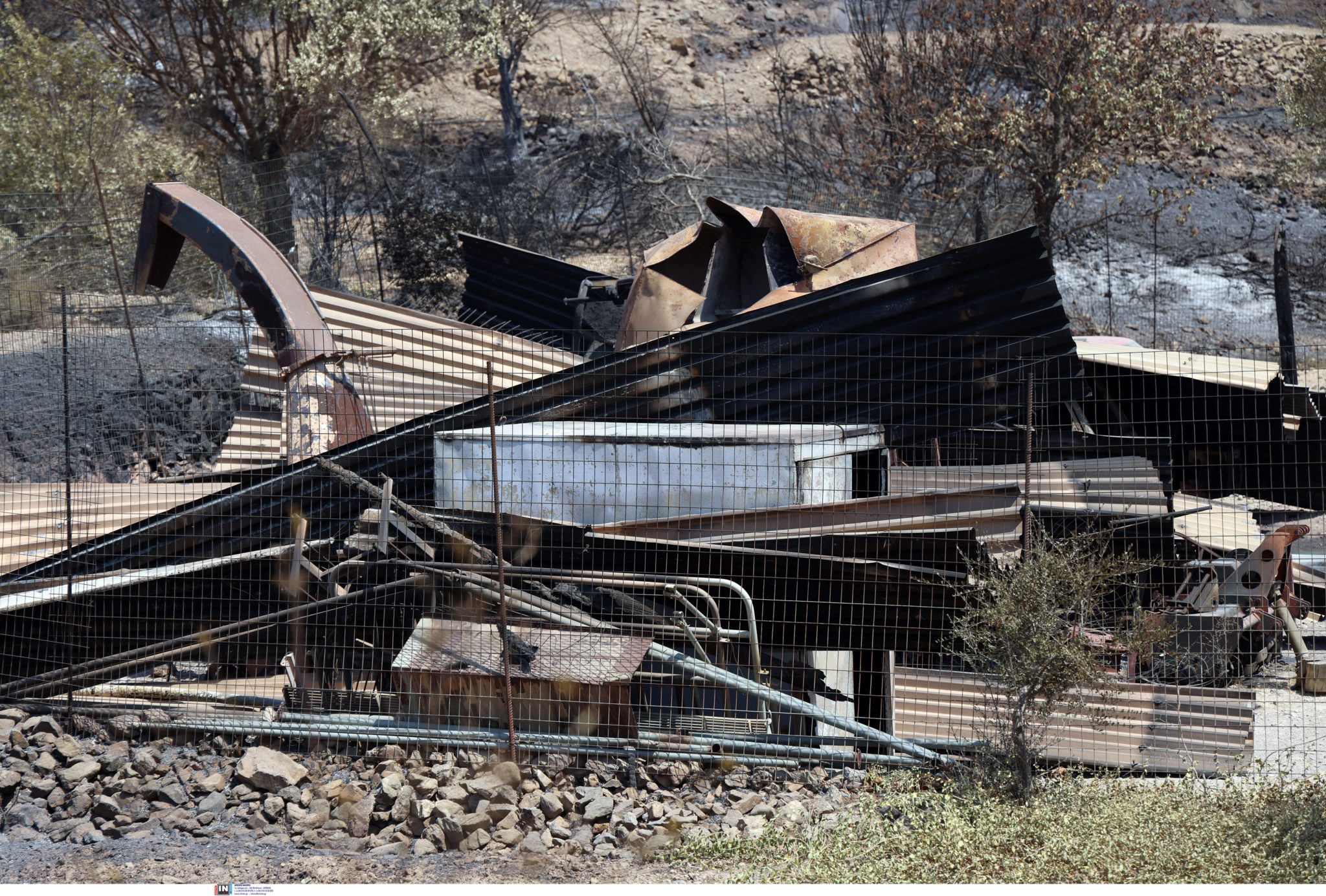 φωτιά στη Χίο, καμένα