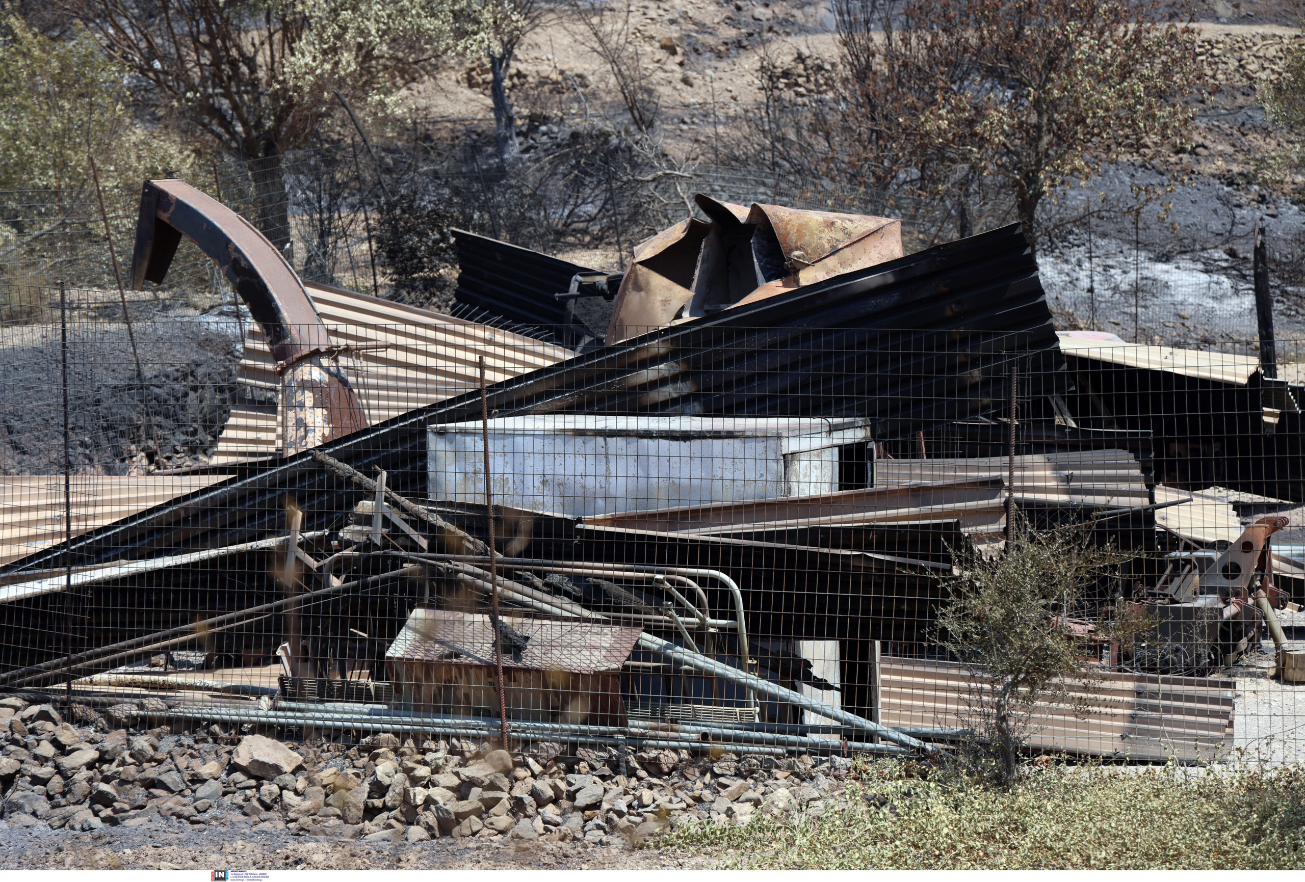 φωτιά στη Χίο, καμένα