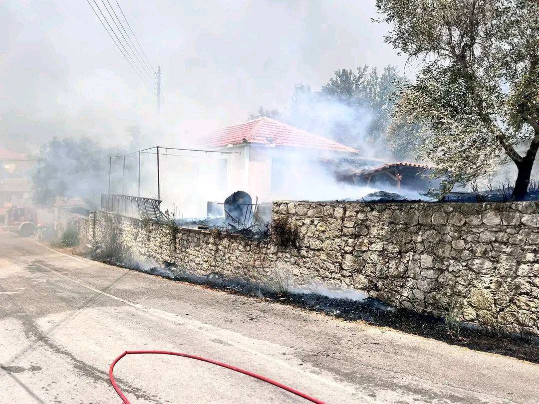 αγαλάς φωτιά Ζάκυνθο