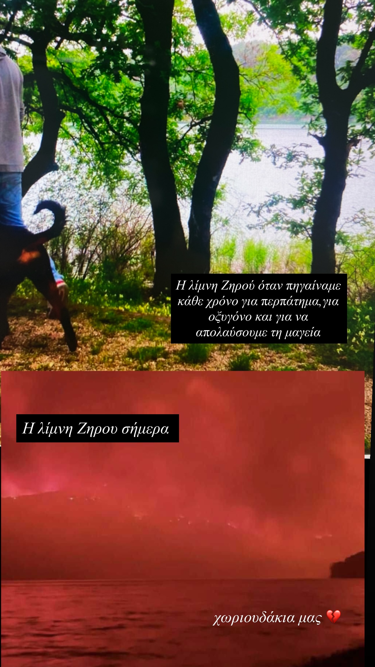 Δανάη Μπάρκα