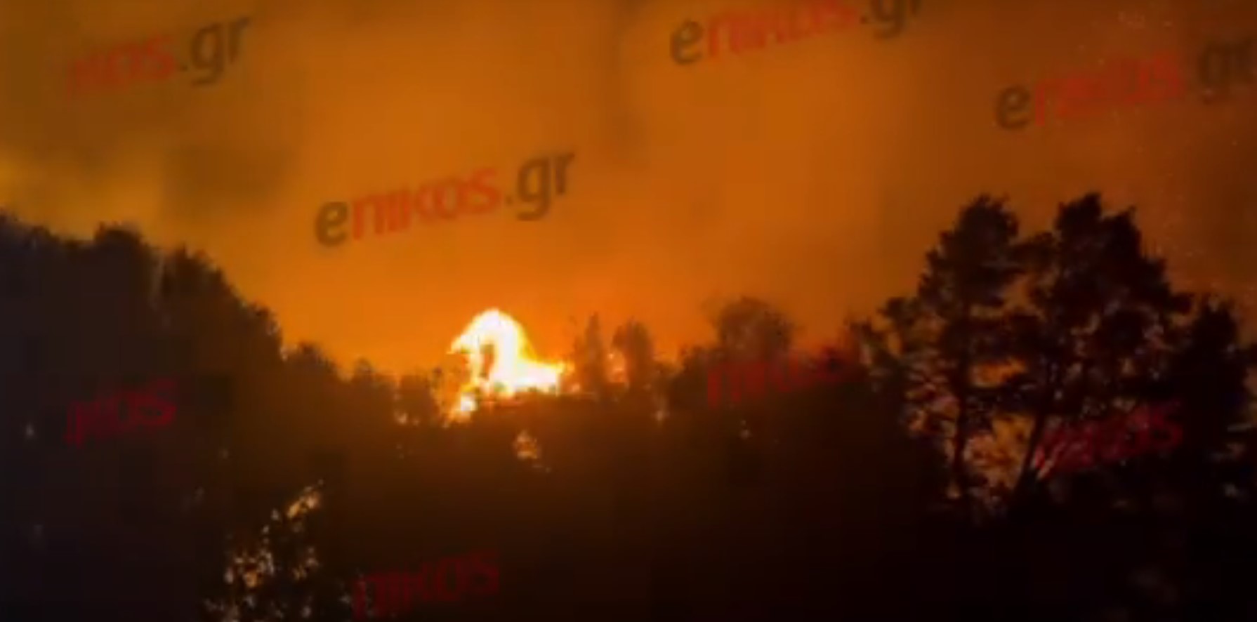 φωτια ανατολικη αττικη