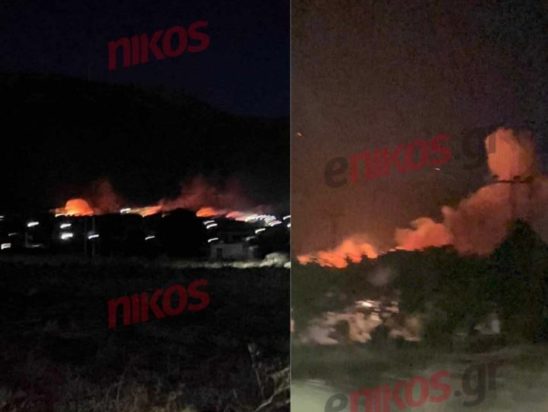 ΟΙΝΟΗ ΦΩΤΙΑ