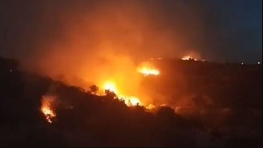 ΦΩΤΙΑ ΘΑΣΟΣ