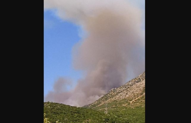 ΦΩΤΙΑ ΘΕΣΠΡΩΤΙΑ