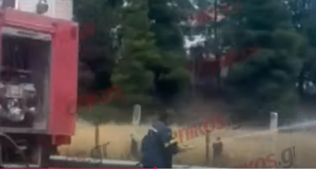 Φωτιά στα Οινόφυτα – Βίντεο αναγνώστη