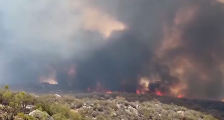 ΚΑΛΙΦΟΡΝΙΑ ΦΩΤΙΑ