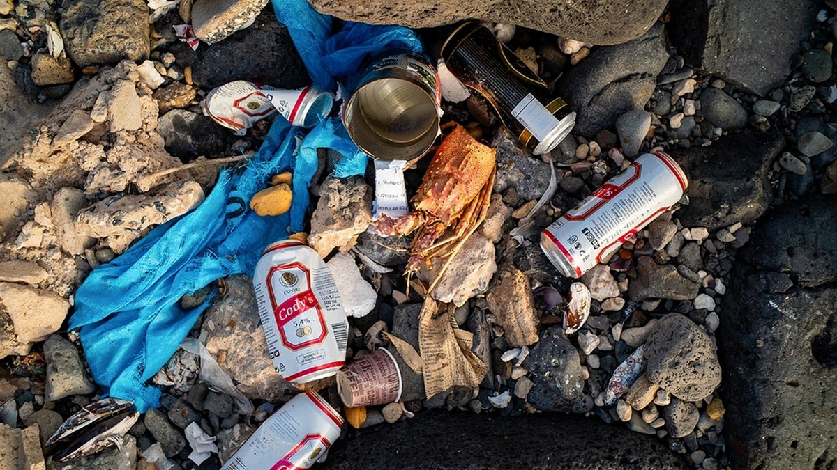 Χαλκιδική: Εθελοντές της ομάδας «Cleaningans» καθάρισαν σκουπίδια 40 ετών από παραλίες – ΒΙΝΤΕΟ