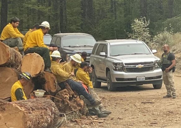 ΣΥΛΛΗΨΕΙΣ CBP