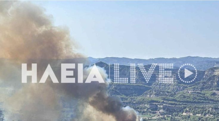 Αρχαία Ολυμπία: Φωτιά στην περιοχή Χελιδόνι