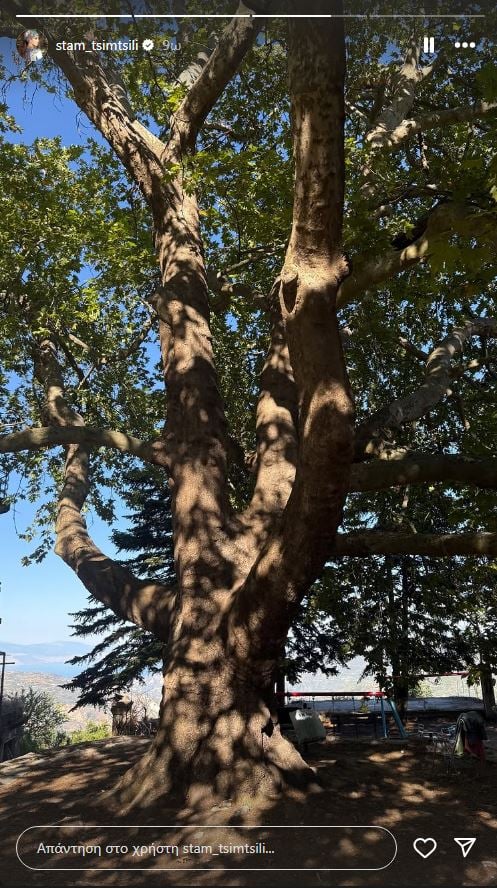 ΤΣΙΜΤΣΙΛΗ