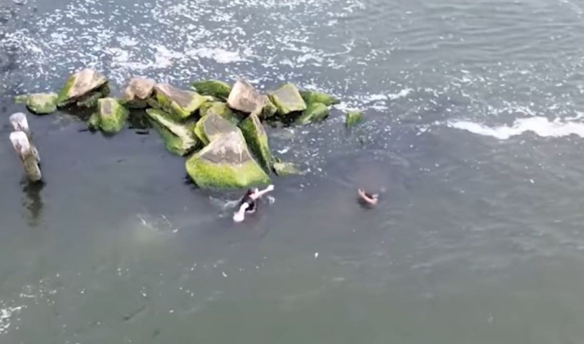 Αστυνομικοί βούτηξαν στην θάλασσα για να συλλάβουν κλέφτη – Δείτε ΒΙΝΤΕΟ