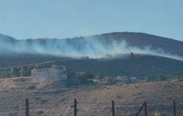 Φωτιά στην Καλλιτεχνούπολη Αττικής