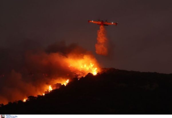 canadair ανατολική αττική