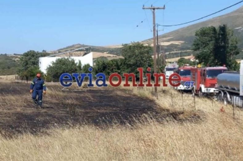 Ερευνώνται ανήλικοι για την συμμετοχή τους σε εκδήλωση πυρκαγιών στην Εύβοια 