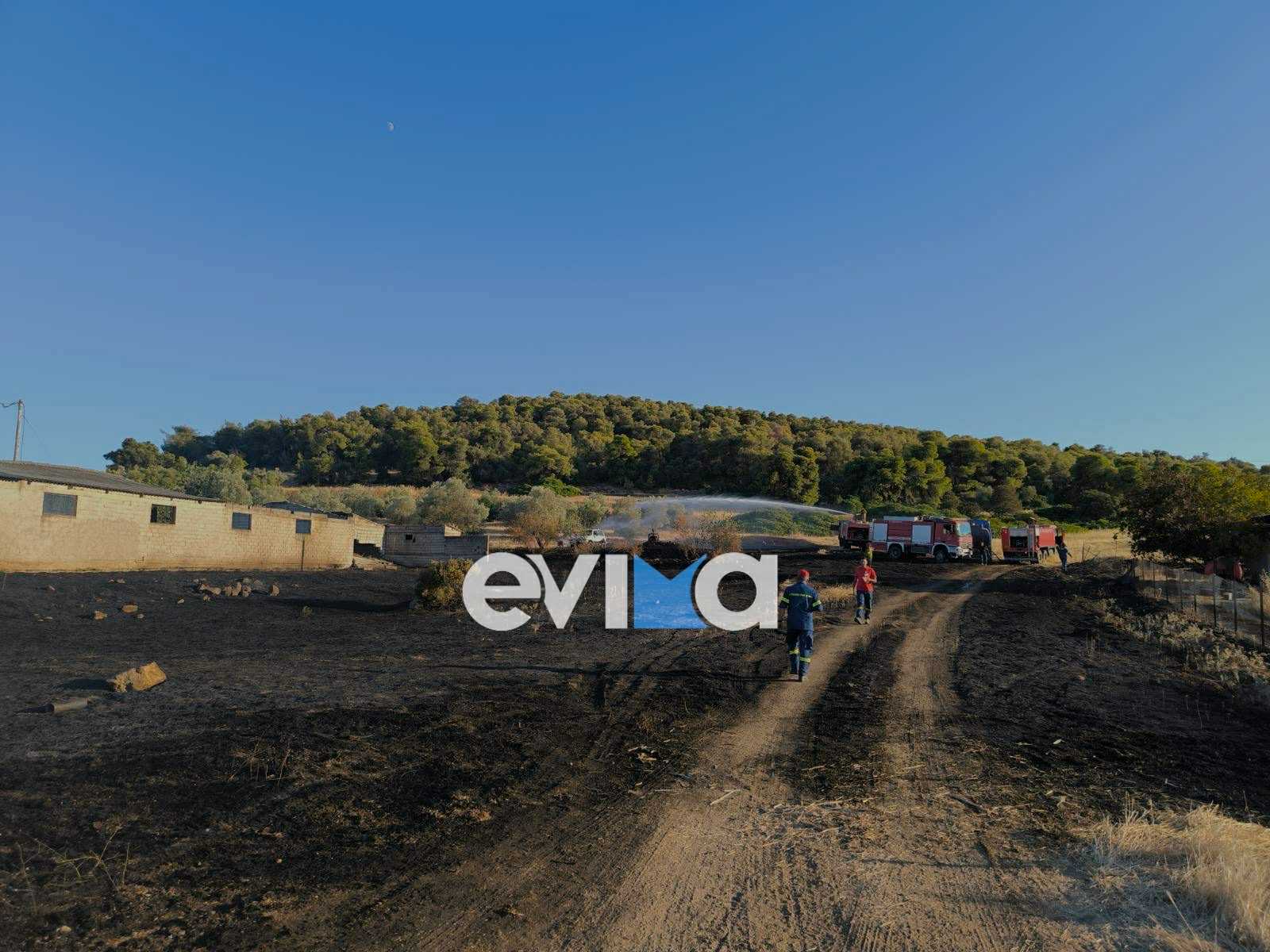 Εύβοια: Εθελοντής πυροσβέστης τραυματίστηκε κατά την κατάσβεση φωτιάς