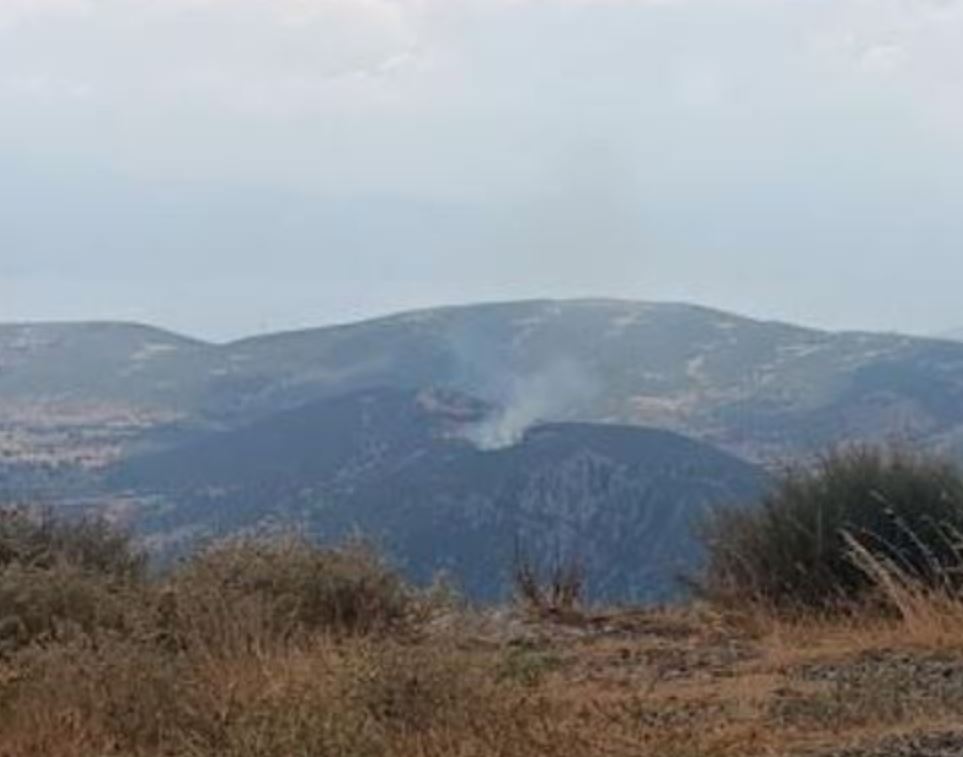 Φωτιά στη Φωκίδα – Επιχειρούν και 2 ελικόπτερα 