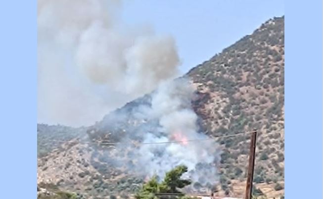 Φωτιά στην Αργολίδα