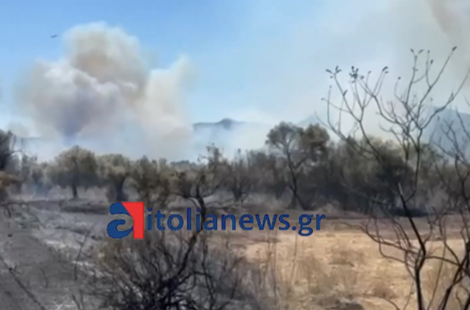 Φωτιά Αιτωλοακαρνανία