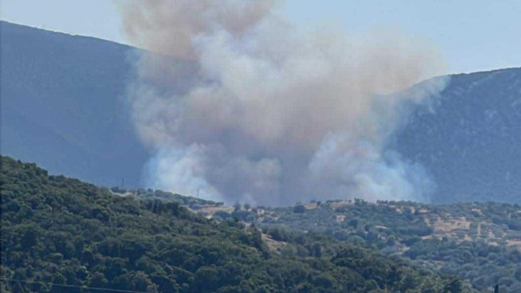 Φωτιά Πελεη Αργολίδας