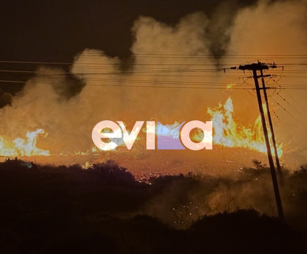 Εύβοια: Υπό μερικό έλεγχο η φωτιά στα Μεσοχώρια – Δείτε φωτογραφίες