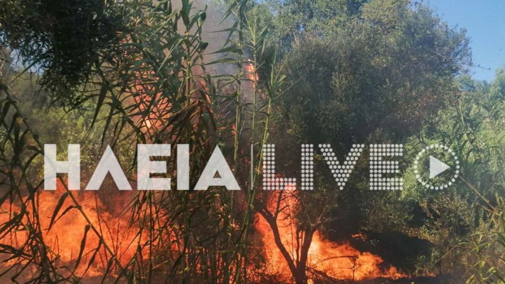 Φωτιά στην Ηλεία – Ήχησε το 112