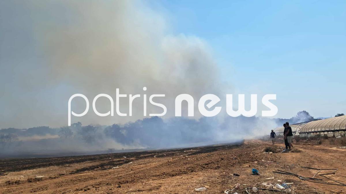 Φωτιά στην Ηλεία – Μήνυμα του 112 για ετοιμότητα στο χωριό Καπελέτο