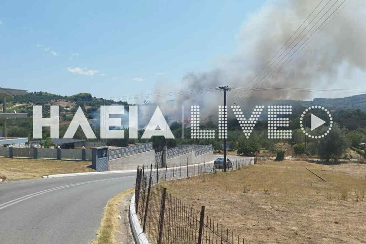 Φωτιά στην Ηλεία: Ήχησε το 112 – «Παραμείνετε σε ετοιμότητα»