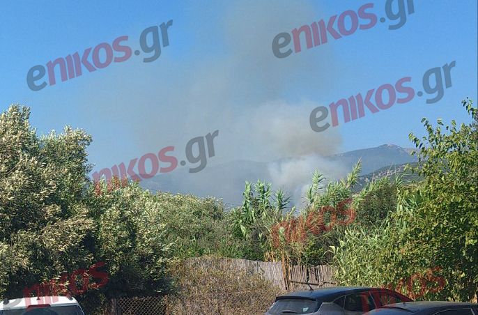 Φωτιά, Καλαμάτα