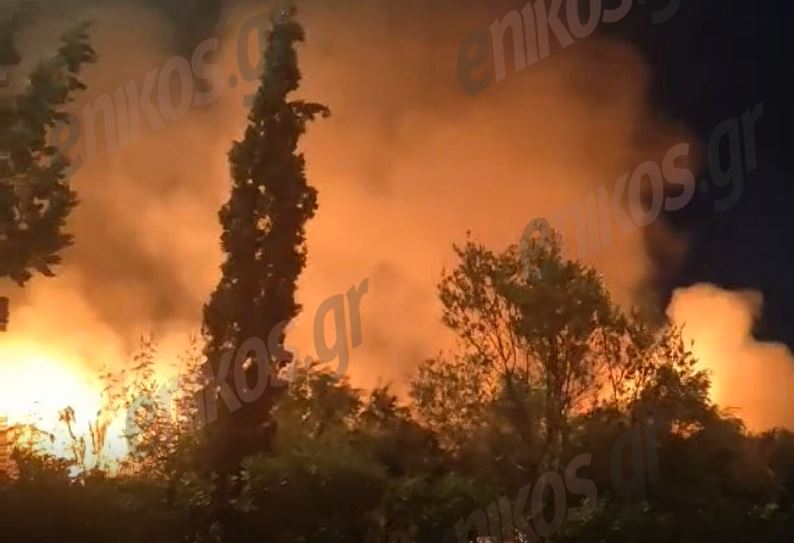 Φωτιά Κερατέα