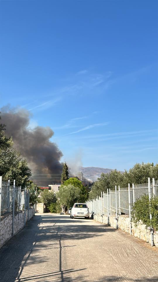 Φωτιά στην Παιανία