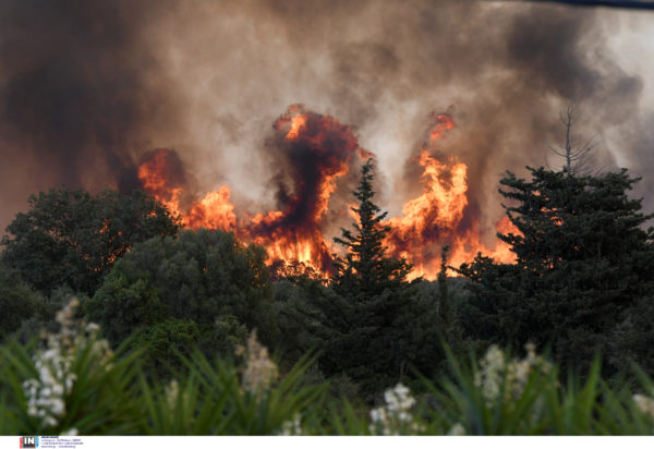 Φωτιά Αχαΐα, Πάτρα