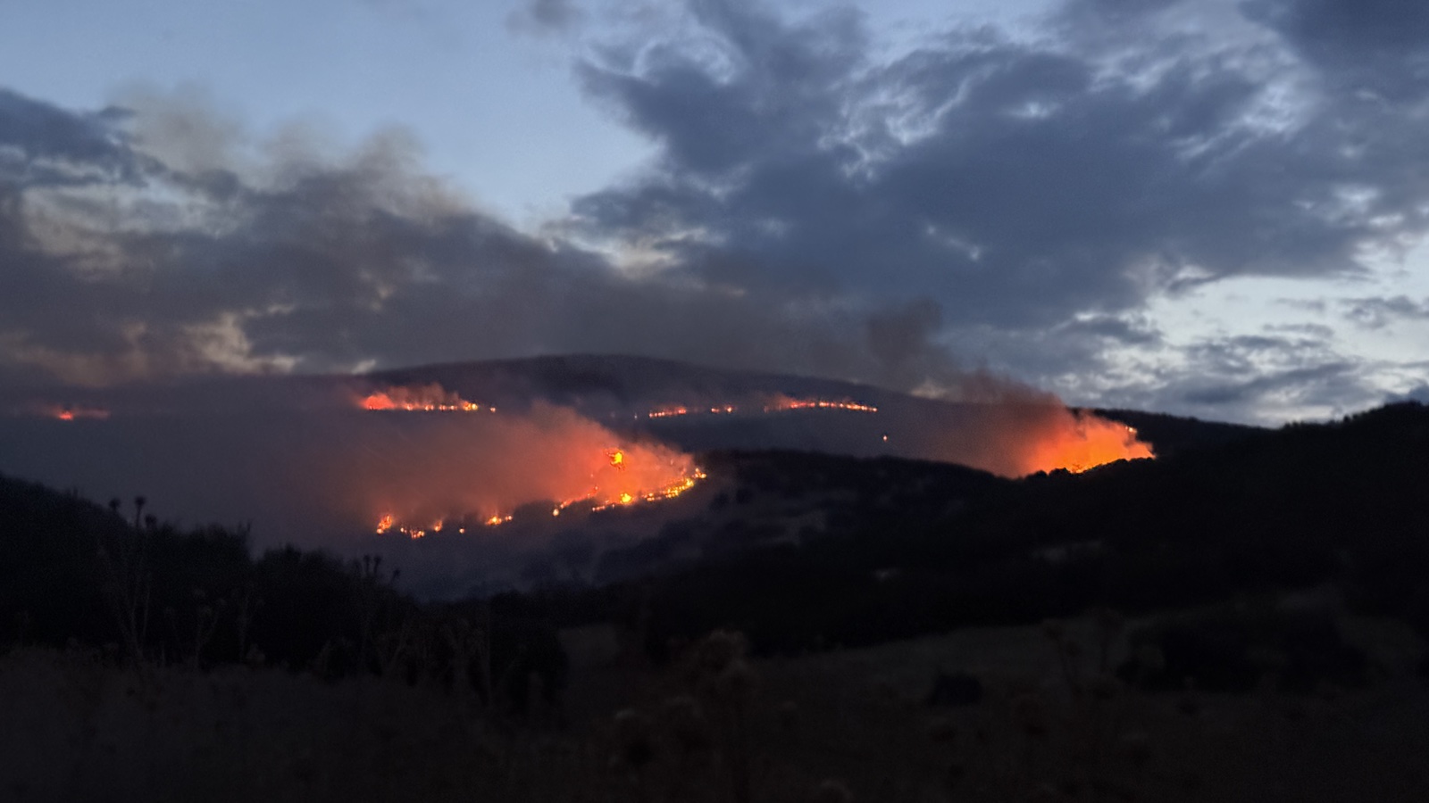 Μαίνεται η φωτιά στο Αμύγδαλο Τυρνάβου – Ενισχύθηκαν οι δυνάμεις πυρόσβεσης – ΒΙΝΤΕΟ