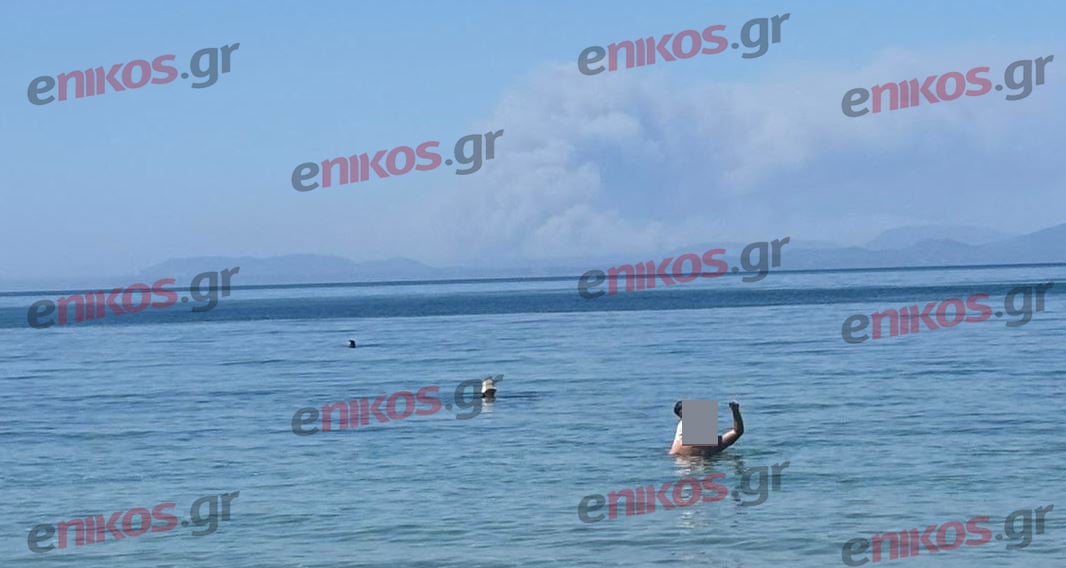 Η φωτιά στην Ζάκυνθο από την Ηλεία