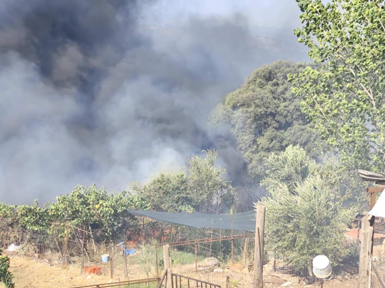 φωτιά πρέβεζα