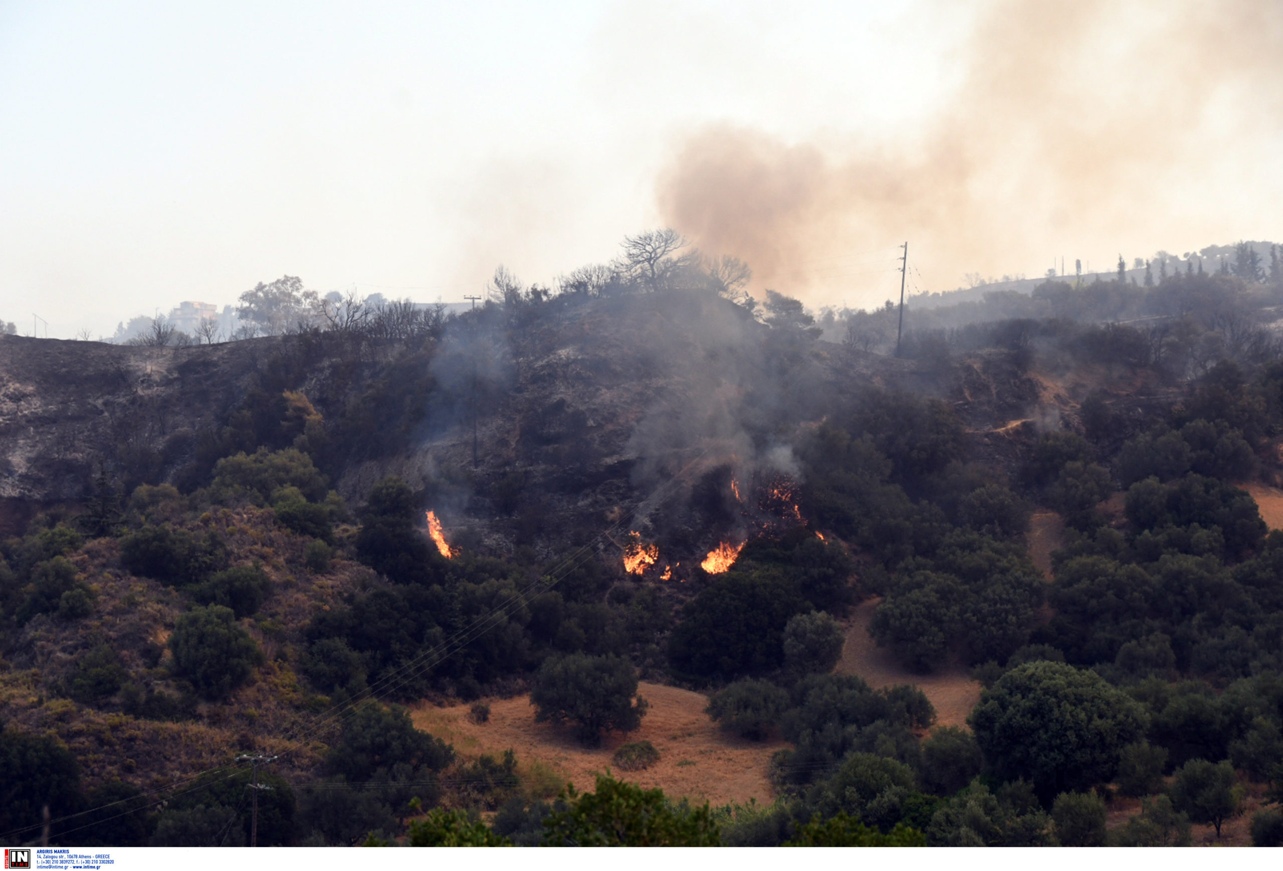 φωτιά Αχαία