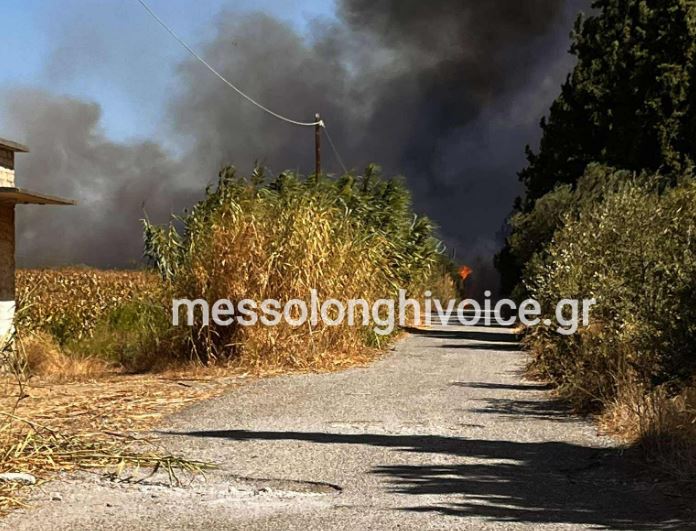 Φωτιά στον Γαλατά Αιτωλοακαρνανίας: Ήχησε το 112 – «Παραμείνετε σε ετοιμότητα»