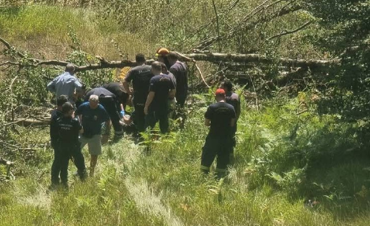Ιωάννινα: Κορμός οξιάς καταπλάκωσε ξυλοκόπο στην περιοχή Χρυσοβίτσα