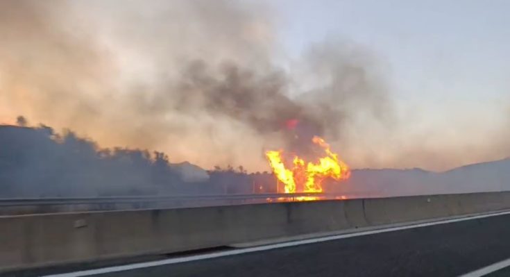 γοργόμυλος πρέβεζα φωτιά