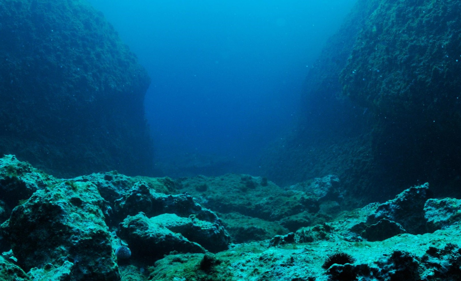 Επιστήμονες αποκαλύπτουν πως οι σεισμοί λειτουργούν σαν μπαταρία για τη ζωή στα βάθη της Γης – Πώς λειτουργεί το «υπόγειο δίκτυο ενέργειας»