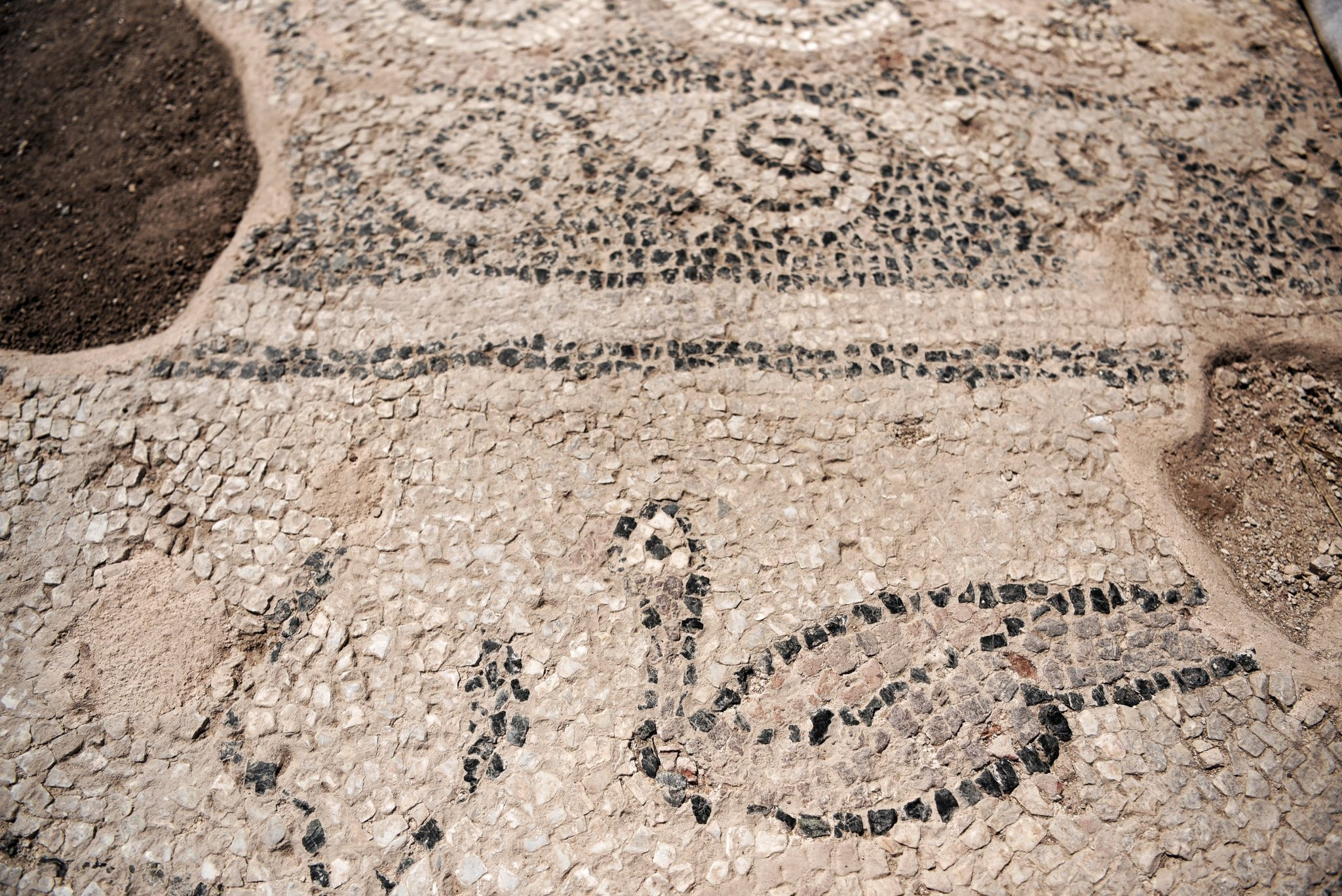 Επιγραφή αφιερωμένη στον Ιουστινιανό και τη Θεοδώρα που ανακαλύφθηκε στην Ουλπιάνα, ρίχνει φως στη Βυζαντινή εποχή του Κοσόβου. Φωτογραφία: Hajrulla Çeku – Facebook