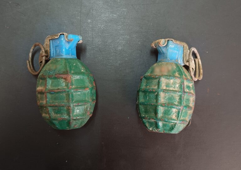 Ρέθυμνο: Συνελήφθη 47χρονος που καλλιεργούσε δενδρύλλια κάνναβης – Βρέθηκαν δύο χειροβομβίδες στο σπίτι του