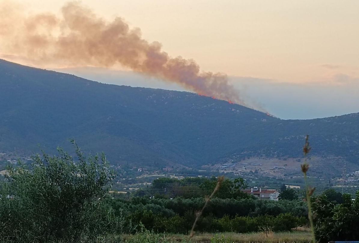 Φωτιά σε δασική έκταση στην Καβάλα – Επιχειρούν και 6 εναέρια μέσα – BINTEO